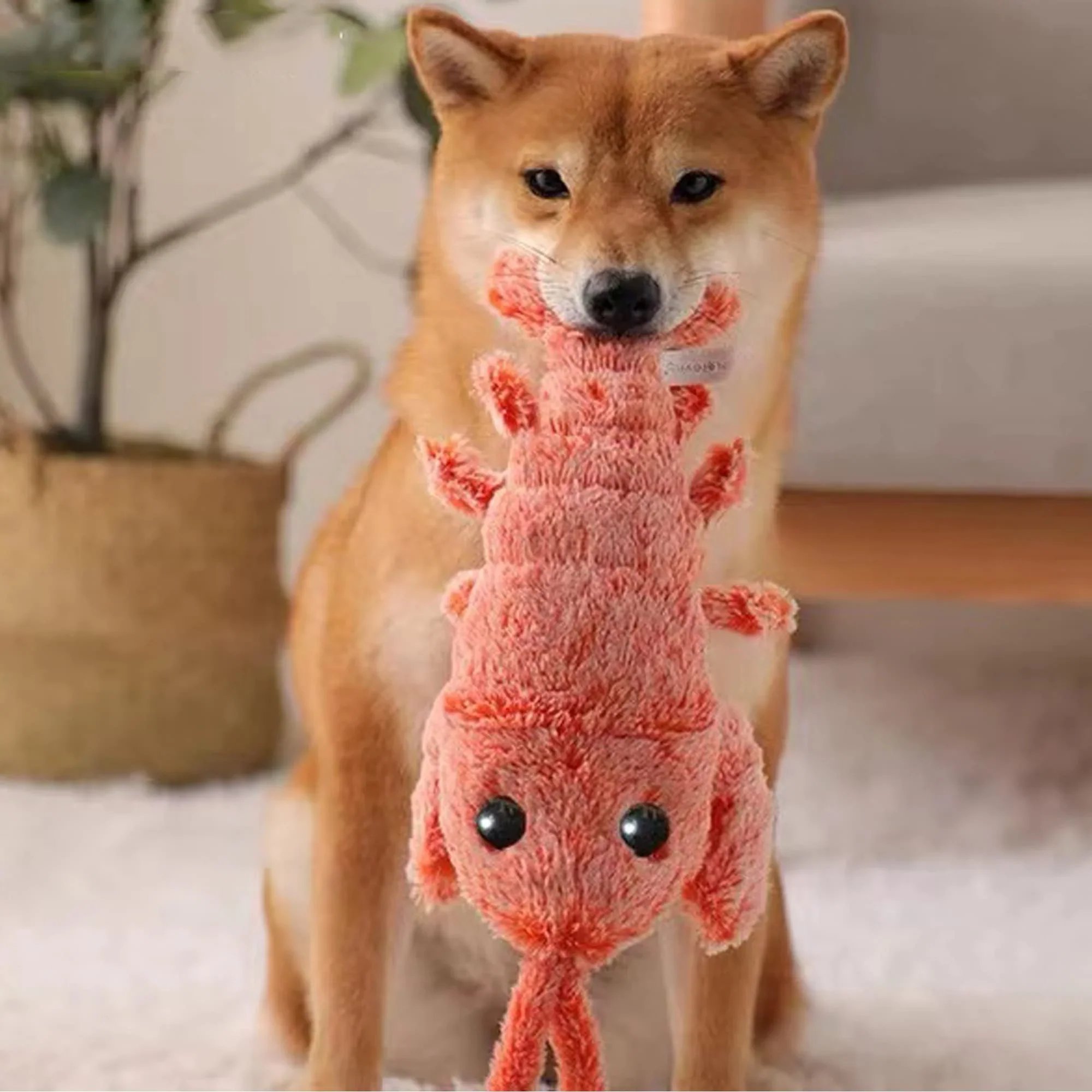 🔥Summer Exclusive 49% OFF⏳Lobster Interactive Dog Toy🎉Buy 2 Save 10% & Free Shipping 