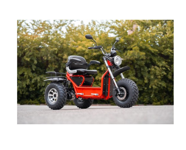 【Clearance Sale】All Terrain Off Road Mobility Scooter 80km Battery Life