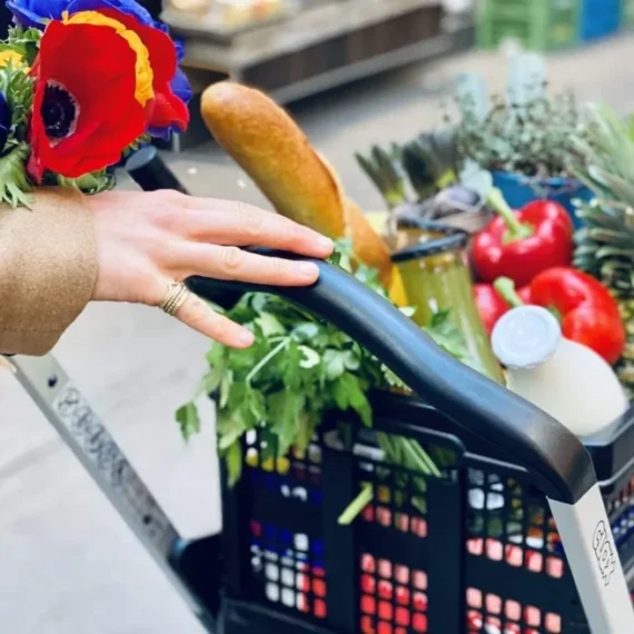 🔥Clearance Price AED 15.9🔥 Multipurpose Folding Cart 😍