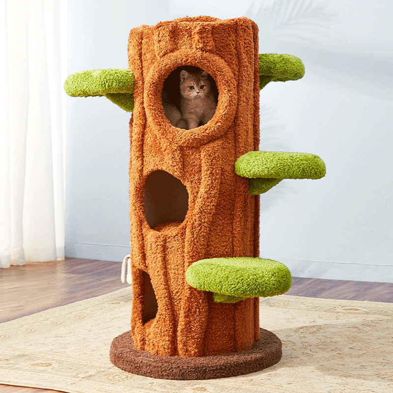 Multi-Cat Climbing & Sleeping Haven