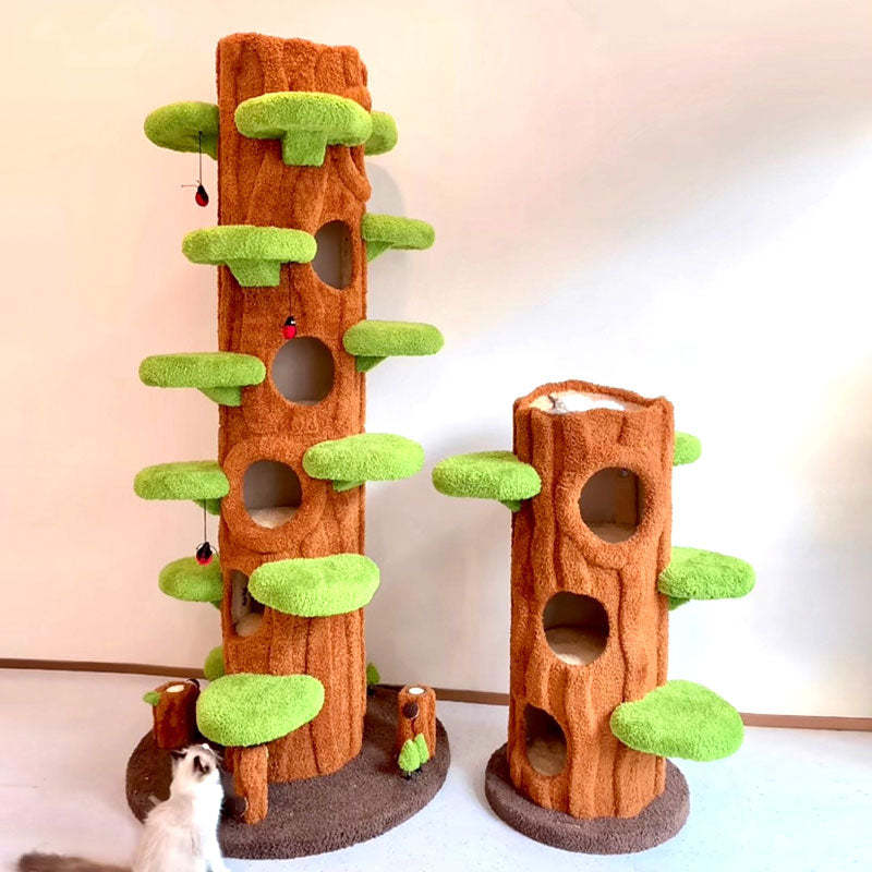 Multi-Cat Climbing & Sleeping Haven