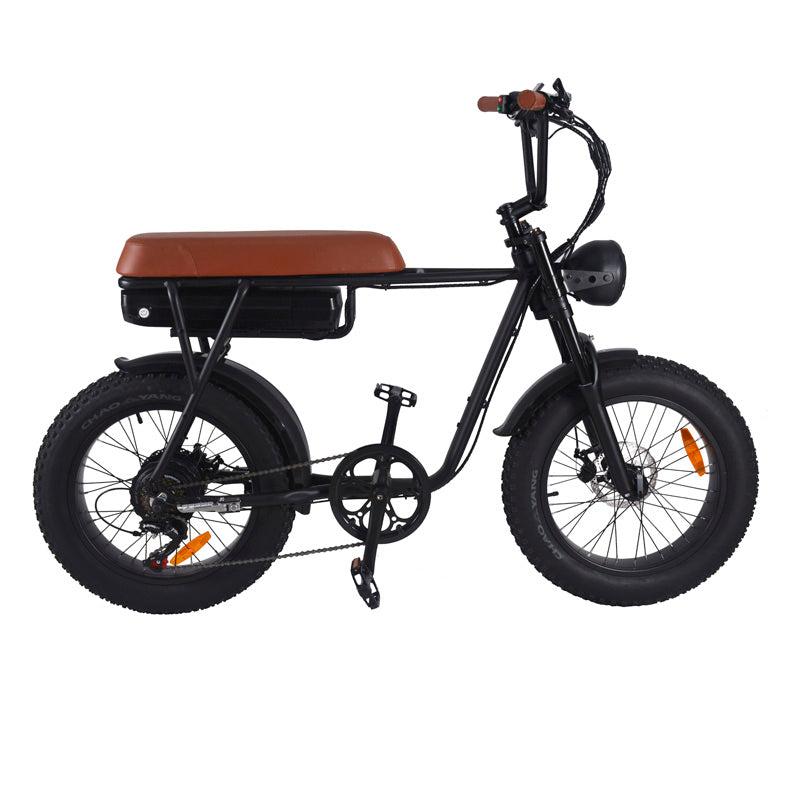 Smabike F206 20 Inch Fat Tire Lithium Battery Electric Bike