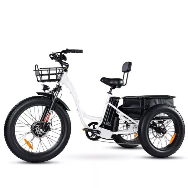 Best Value Electric Bike[750W]