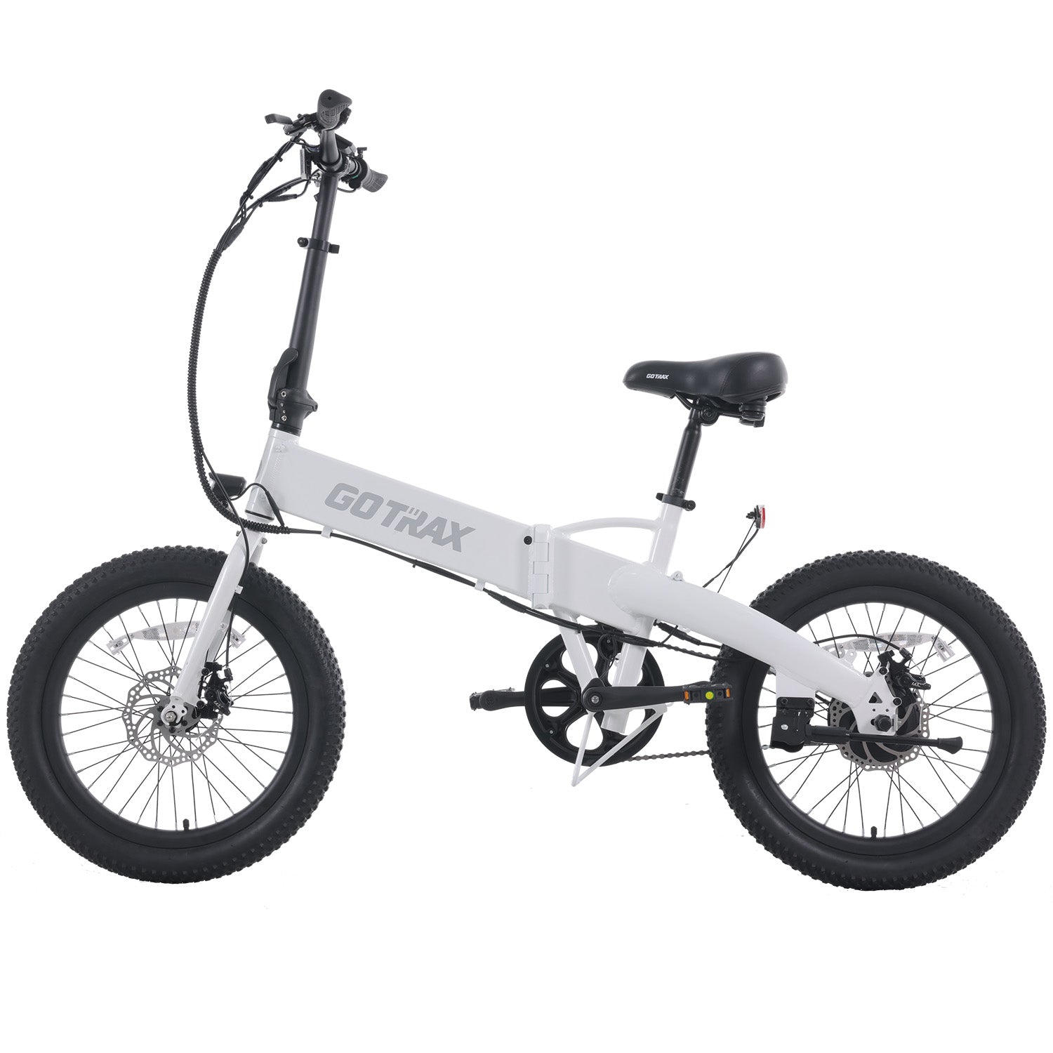 F1 Electric Bike