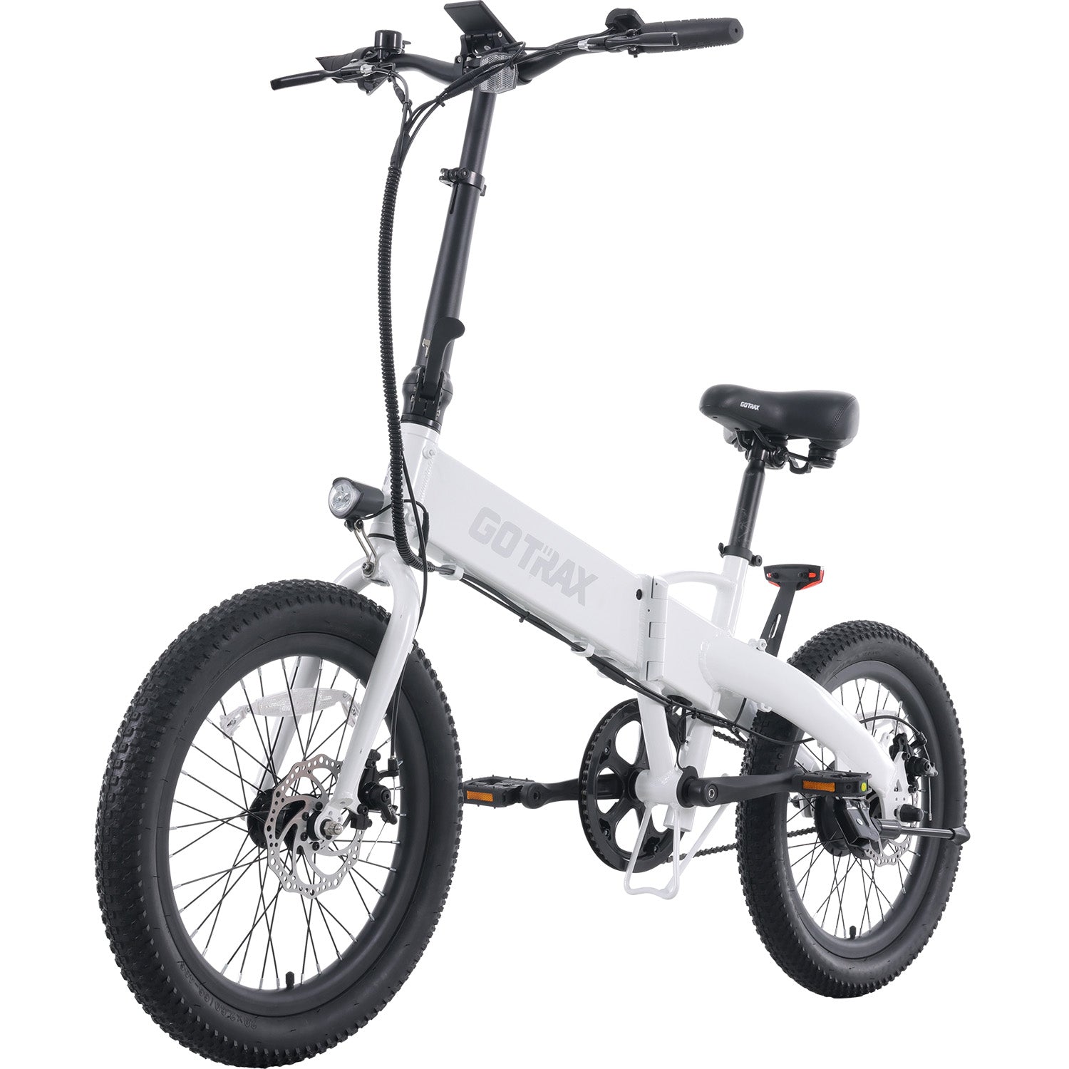 F1 Electric Bike