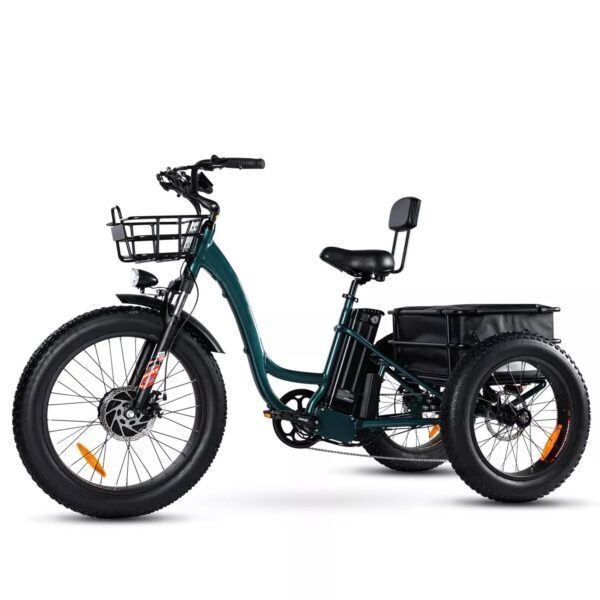 Best Value Electric Bike[750W]