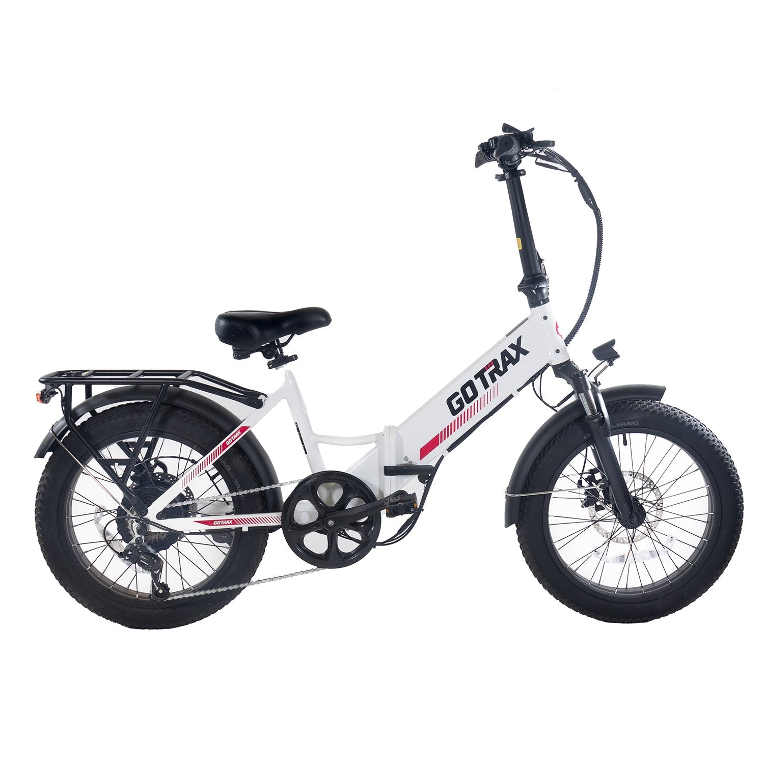 F2 Electric Bike