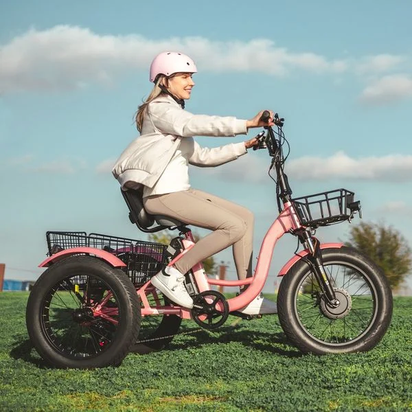 ⚡Clearance Sale🚲 - TK1 Folding Electric Trike